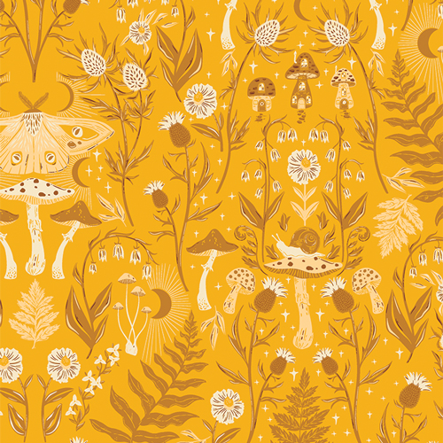 HZW62312 Hidden Land Marigold