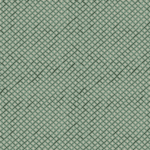 MAV77806 Twinkling Ruit Sage