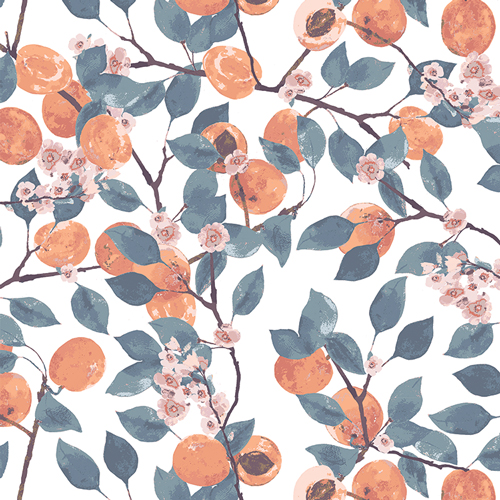 MDS63901 Blossoming Apricots