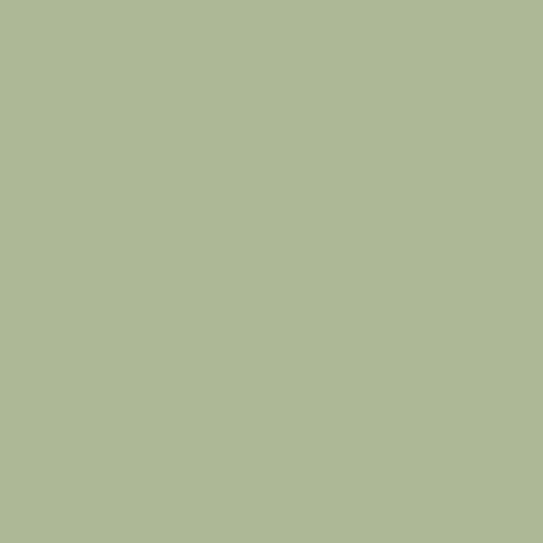 Signature Pure Solids by Suzy Quilts