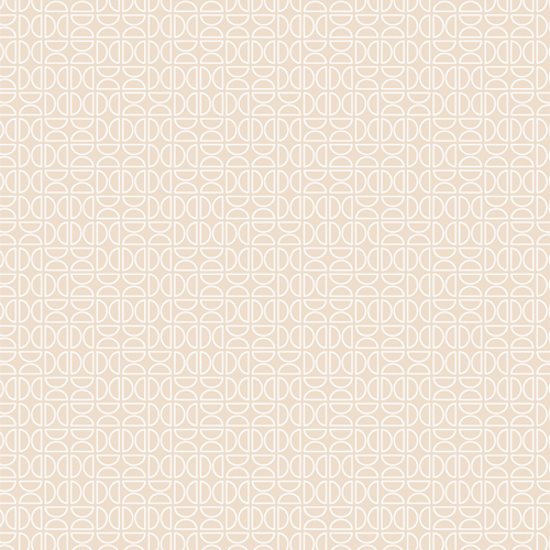 TAN69912 Zesty Wedges Raw