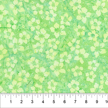 Nature's Beauty Pressed Flowers Citrus Green
