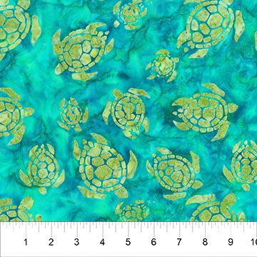 Oceana Turtles Caribbean Sea