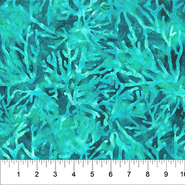 Oceana Coral Sea Storm