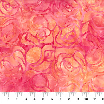 Wide Backing Roses Large Roses Sherbet