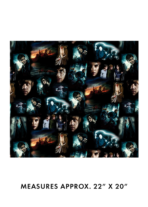 Harry Potter Moments Black