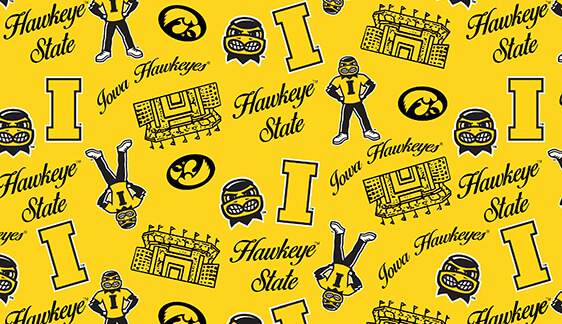 NCAA-Iowa Mini Stadium Logo Cotton W43 - 15 Yd Bolt