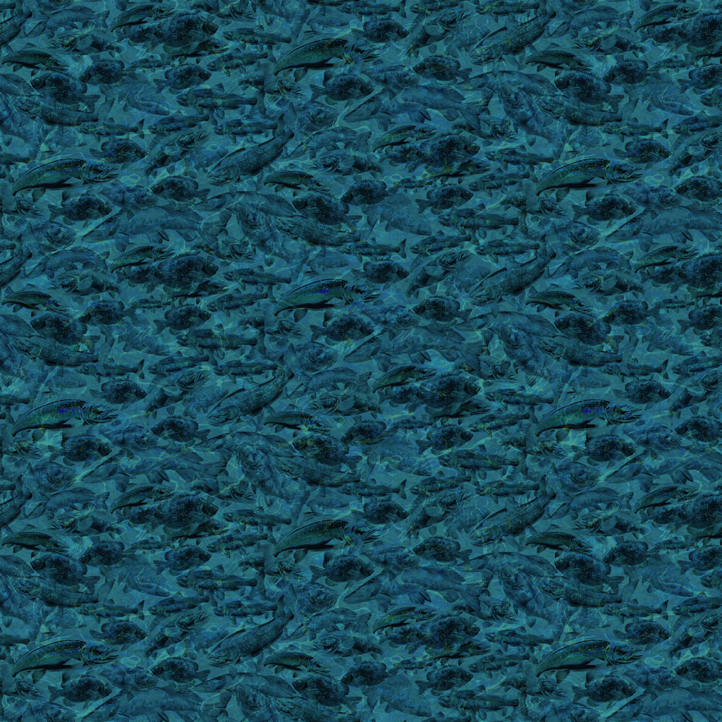 Lake Life Digital Fish
