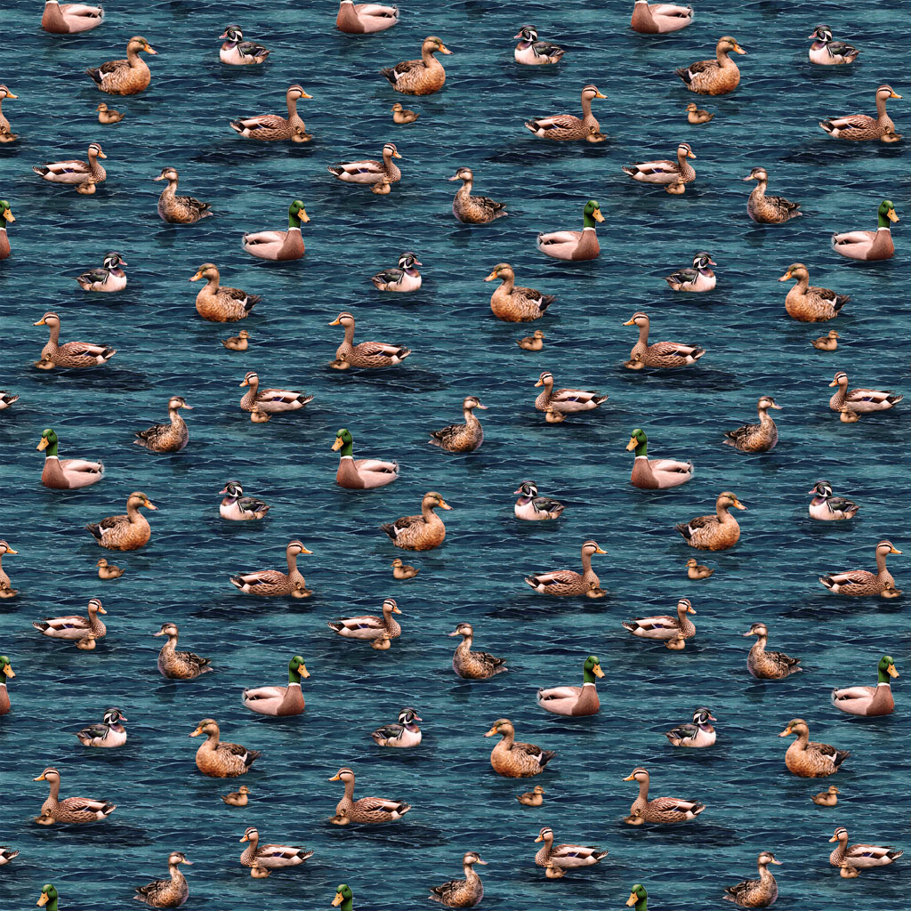 Lake Life Digital Ducks