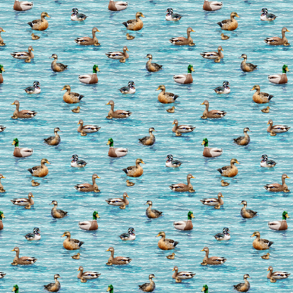 Lake Life Digital Ducks
