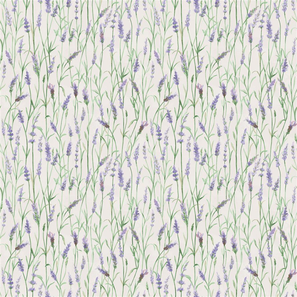 Lavender Lane Meadow