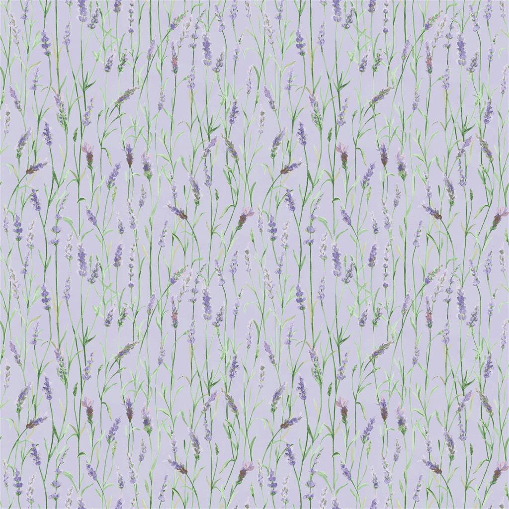 Lavender Lane Meadow