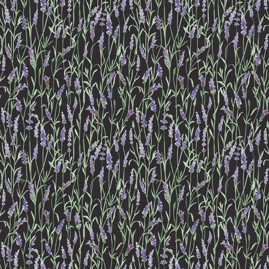Lavender Lane Meadow