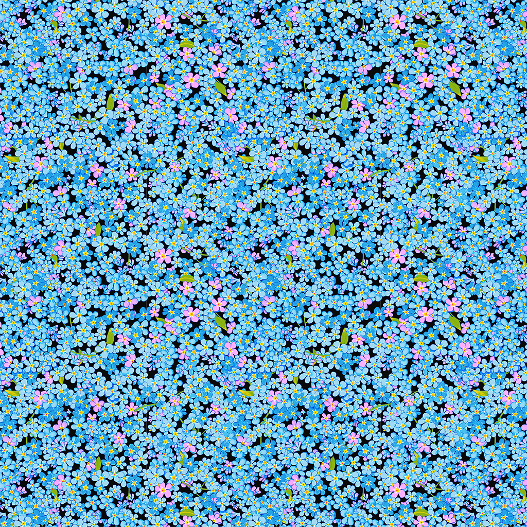 Wildflowers Forget-Me-Nots - AK Exclusive