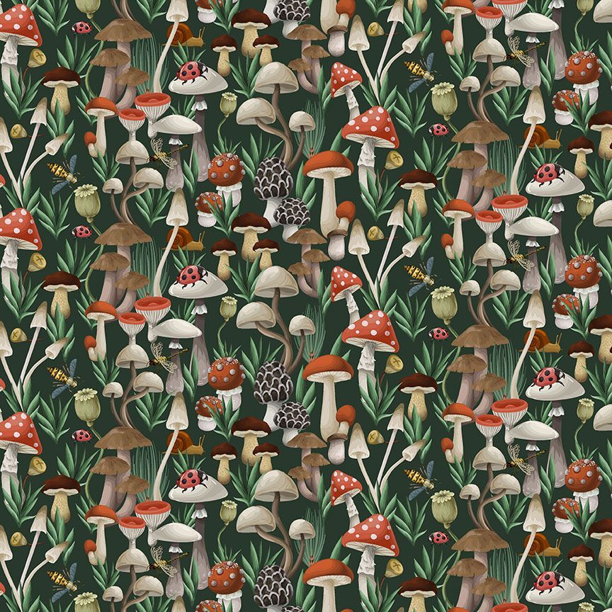 THE FUNGI KINGDOM