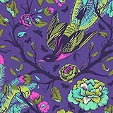 All Stars by Tula Pink