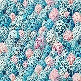 Arcadia by Snow Leopard Designs