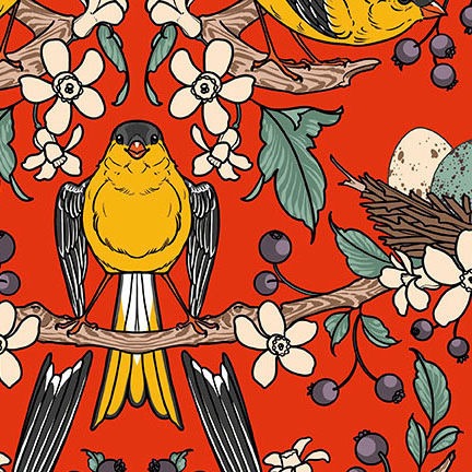 Birds of a Feather by Rachel Hauer
