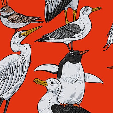 Birds of a Feather by Rachel Hauer
