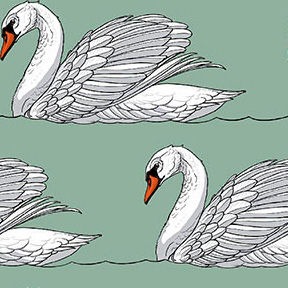 Birds of a Feather by Rachel Hauer