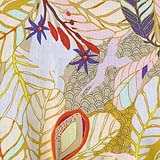 Seeds & Stems by Kathy Doughty