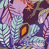 Seeds & Stems by Kathy Doughty