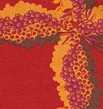Seeds & Stems by Kathy Doughty