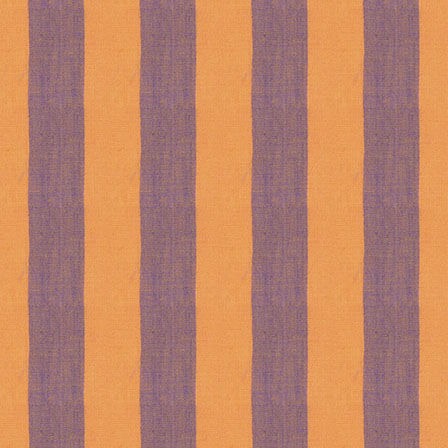 Shots & Stripes by Kaffe Fassett