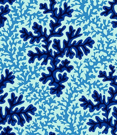 Treasure Island by Snow Leopard Design