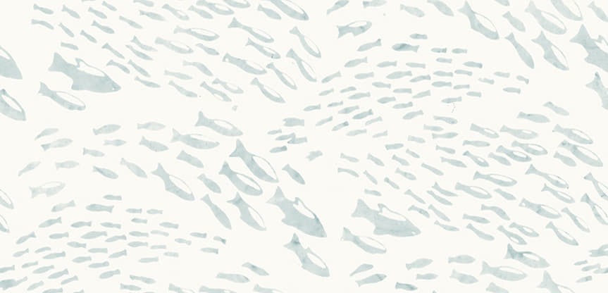 Along the Shores by Wildfire Designs Alaska