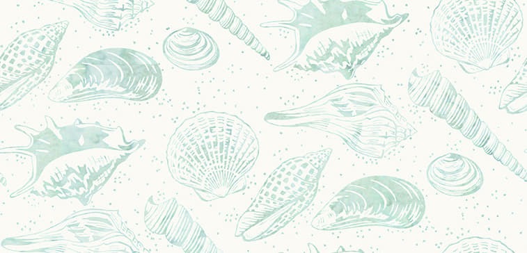 Along the Shores by Wildfire Designs Alaska