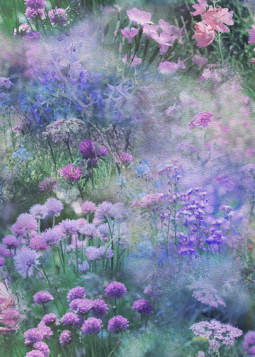 Dandelion Wishes by Hoffman