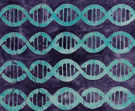Blinded by Science by Jackie Kunkel