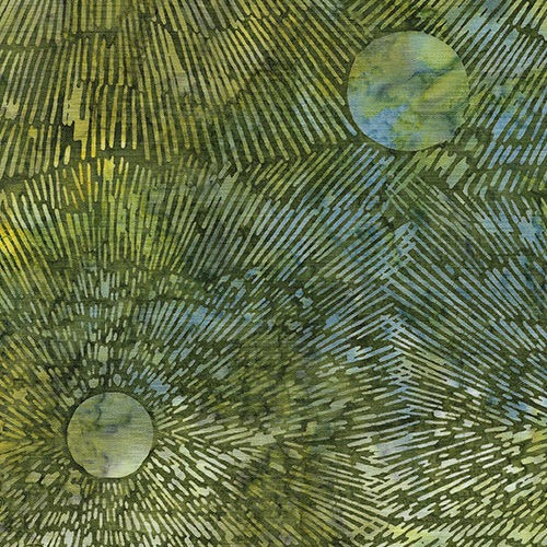 Citrus Sun by Kathy Engle