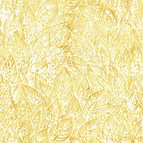 Citrus Sun by Kathy Engle