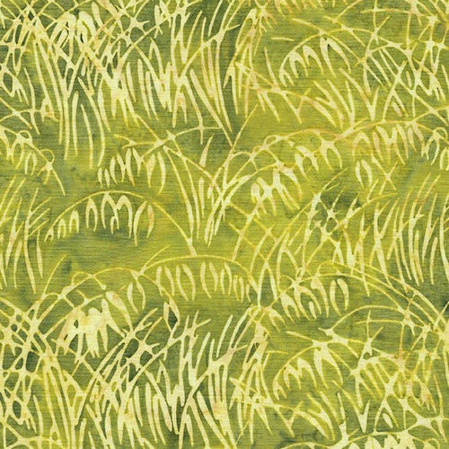 Citrus Sun by Kathy Engle