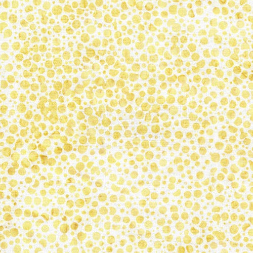 Citrus Sun by Kathy Engle