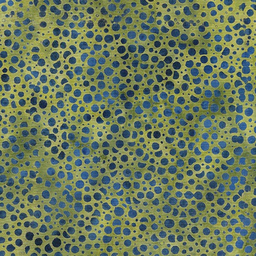 Citrus Sun by Kathy Engle