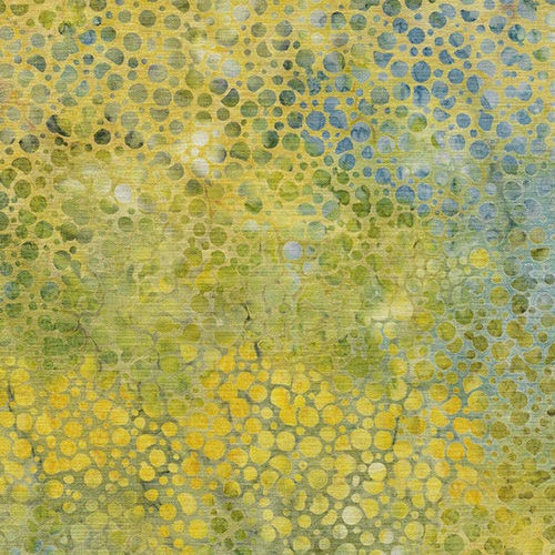 Citrus Sun by Kathy Engle