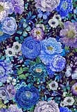 Butterfly Dreams by Timeless Treasures