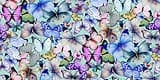 Butterfly Dreams by Timeless Treasures