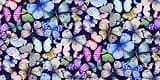 Butterfly Dreams by Timeless Treasures