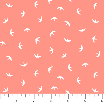 Splendor Birds Coral