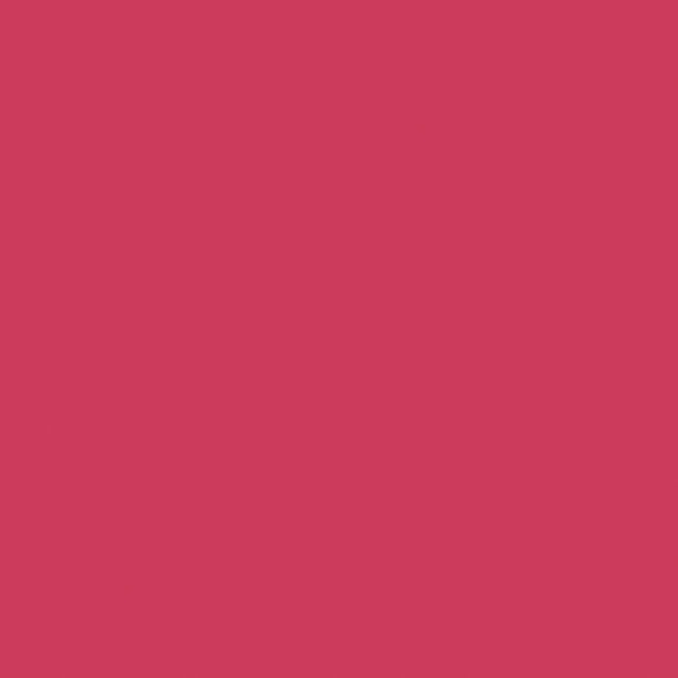 PURE SOLIDS PE-405 Cherry Lipgloss