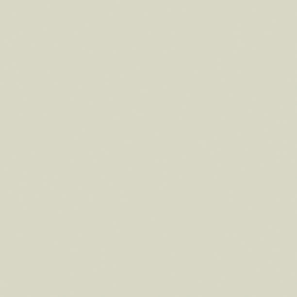 PURE SOLIDS PE-419 Light Grey