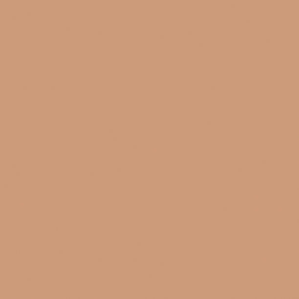 PURE SOLIDS PE-458 Toasty Walnut