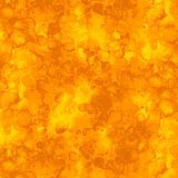 Solid-ish Kim-C6100-Amber