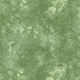 Solid-ish Kim-C6100-Dill