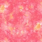Solid-ish Kim-C6100-Fuchsia