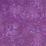 Solid-ish Kim-C6100-Grape